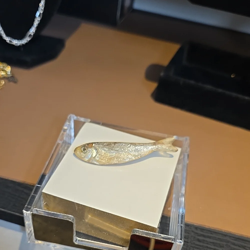 Silver Fish Brooch From KEN LOEBER